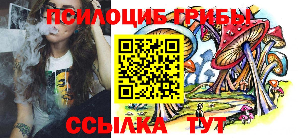 Алейск  Псилоцибиновые грибы прущие грибы  Вход с VPN 