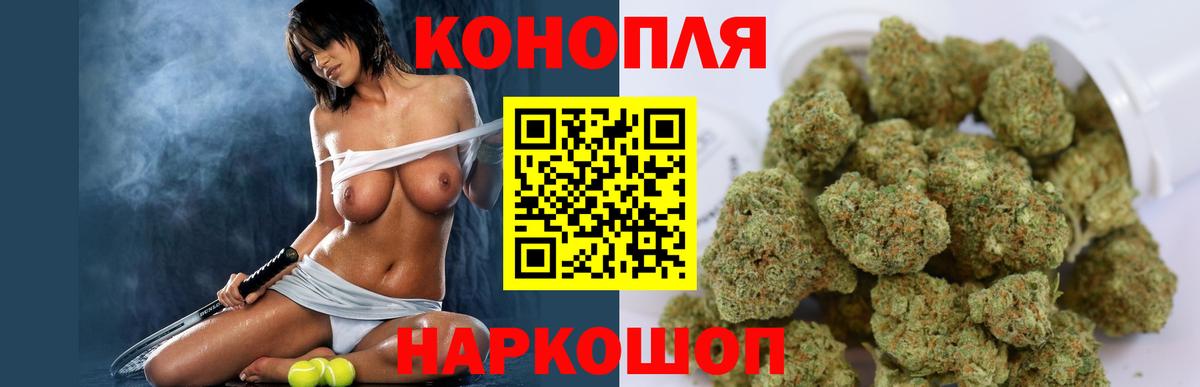 Бошки марихуана план  Вход с VPN  Шишки марихуана индика  Бошки Шишки планчик  Шишки марихуана White Widow  Алейск 
